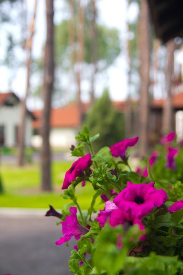 Park-Hotel Kidev Чубинское Экстерьер фото