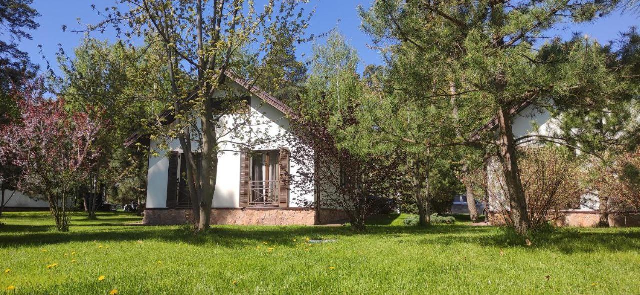 Park-Hotel Kidev Чубинское Экстерьер фото