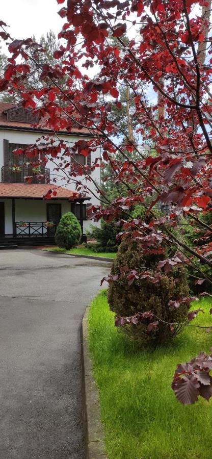 Park-Hotel Kidev Чубинское Экстерьер фото