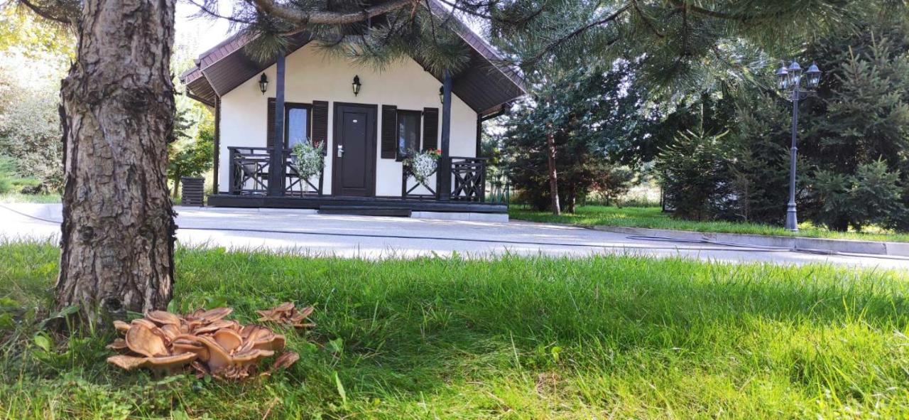 Park-Hotel Kidev Чубинское Экстерьер фото