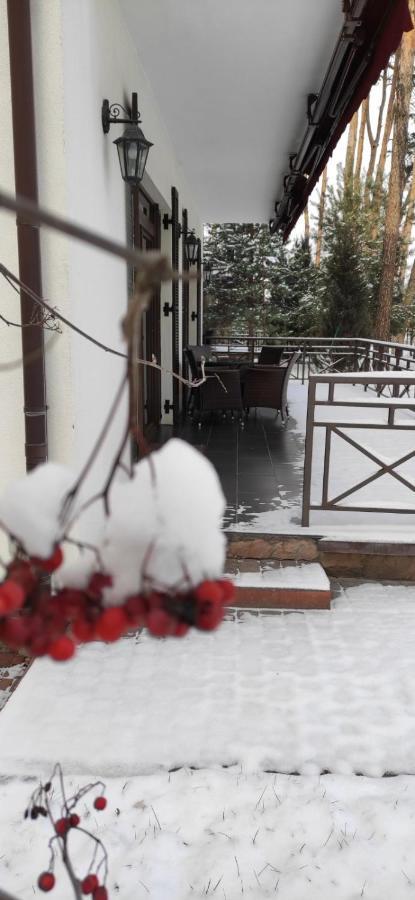 Park-Hotel Kidev Чубинское Экстерьер фото