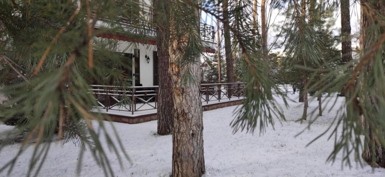 Park-Hotel Kidev Чубинское Экстерьер фото